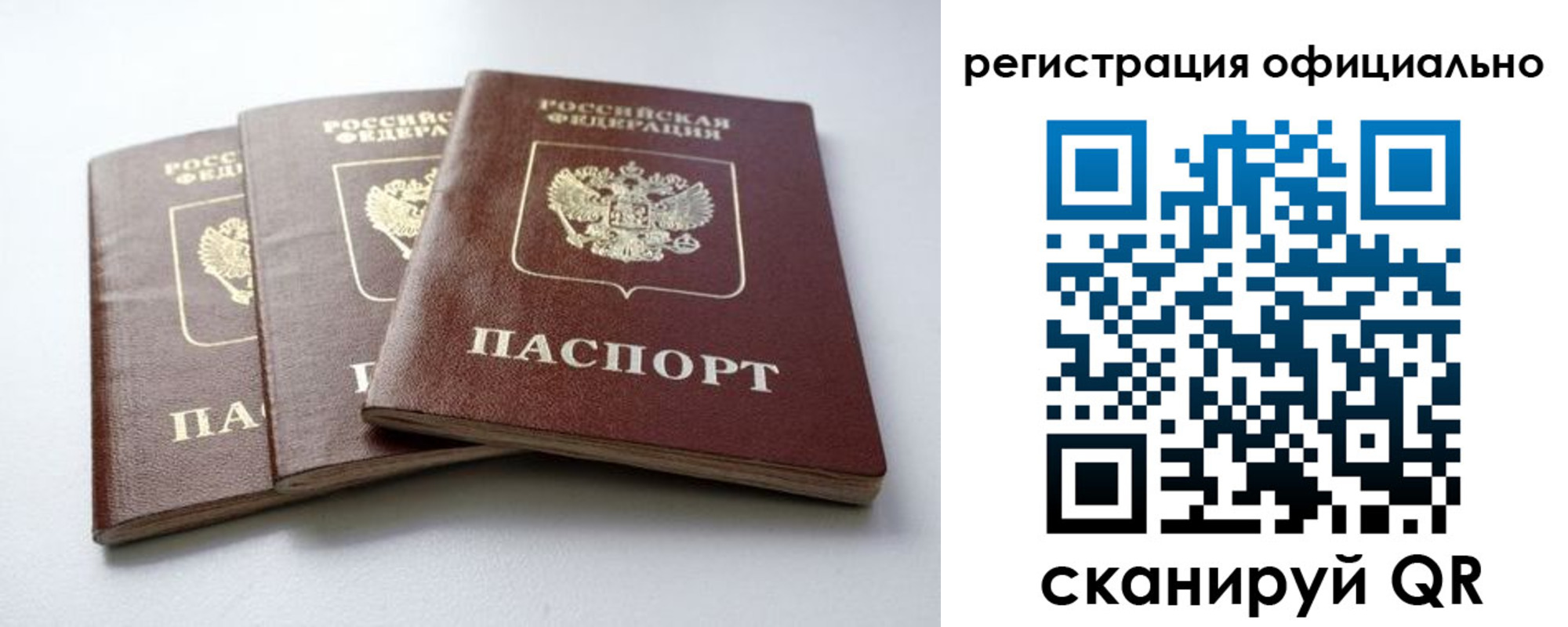 прописка паспорт в Щиграх