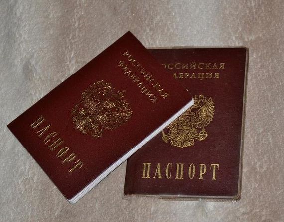 прописка в Щиграх